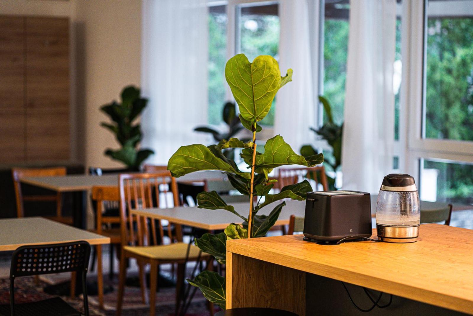 Dream Factory Melk - Green Hostel Екстер'єр фото